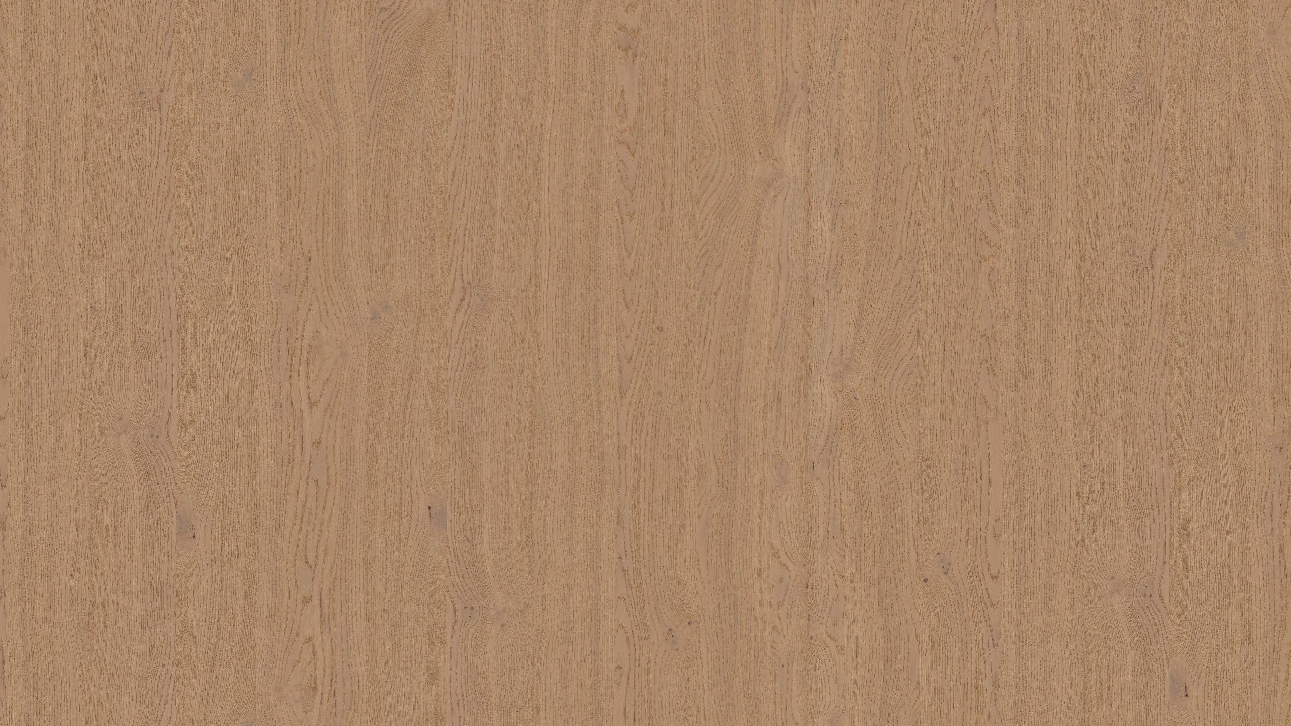 Modern Kitchens NYC - Natural - 08 - Stosa Cucine